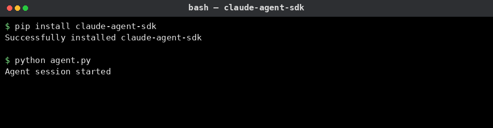 Claude Agent SDK 사용 예시