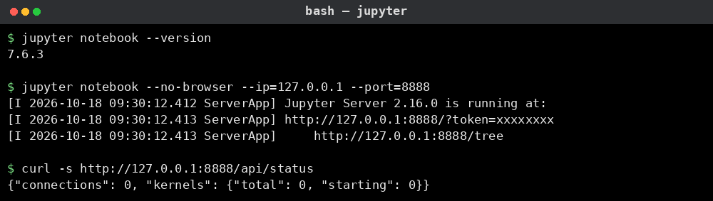 Jupyter Notebook 예시: 버전 확인, 노트북 서버 실행 및 상태 조회