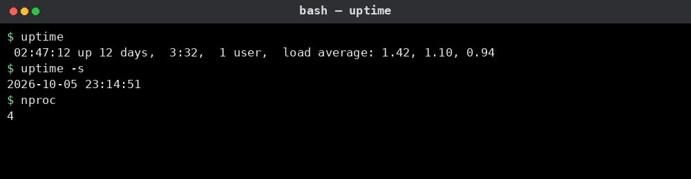 uptime 명령어 실행 결과: 가동 시간과 부하