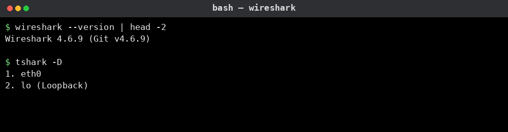 Wireshark 버전과 캡처 인터페이스 확인 예시