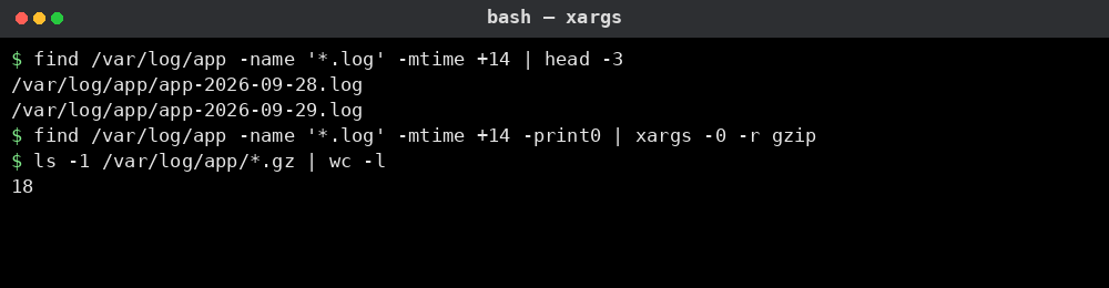 xargs 명령어 실행 결과: 대량 로그 압축